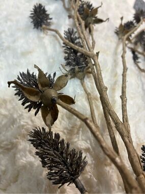Dried Thistle Stem Decorative Accents